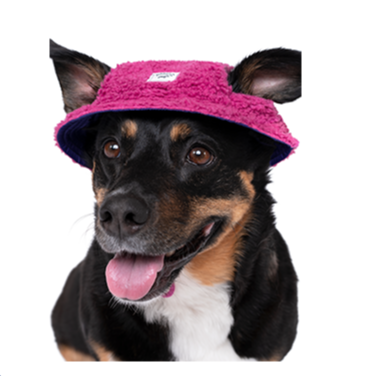 Cool Factor Pink Bucket Hat by Canada Pooch