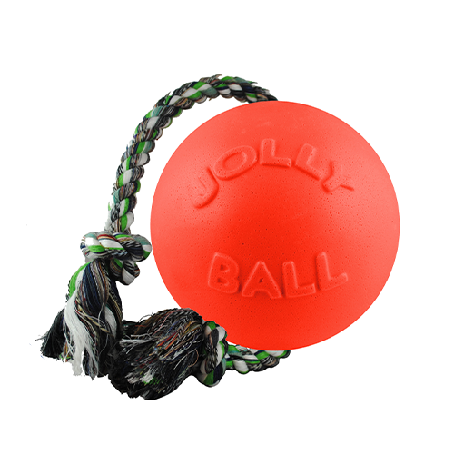 Orange Jolly Ball with a rope on a white background