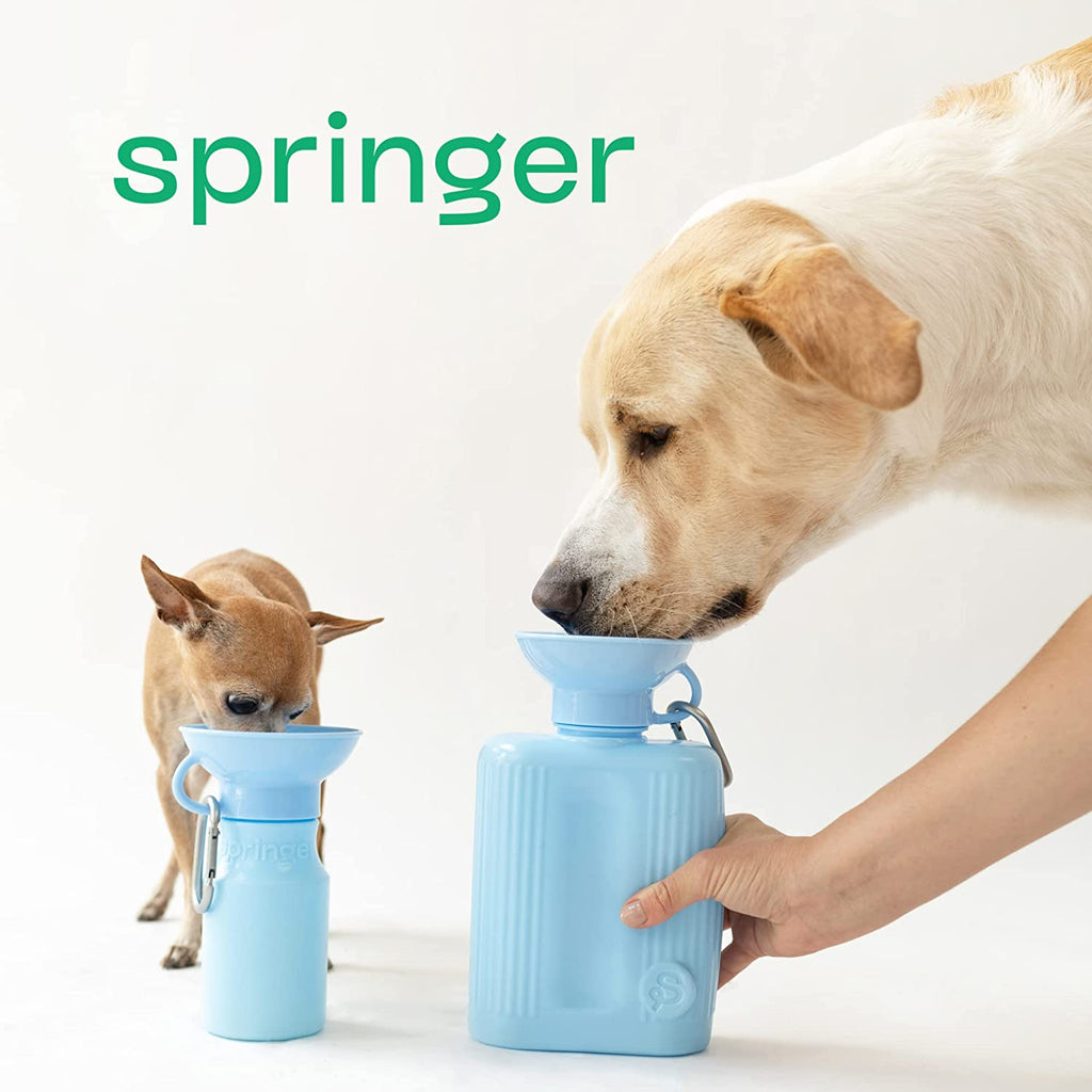 Springer Sky Blue Travel Bottles with Fillable Bowl