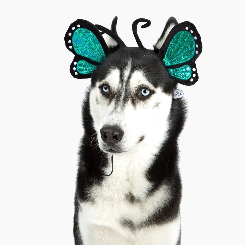 Butterfly Headband Halloween Costume for Pets