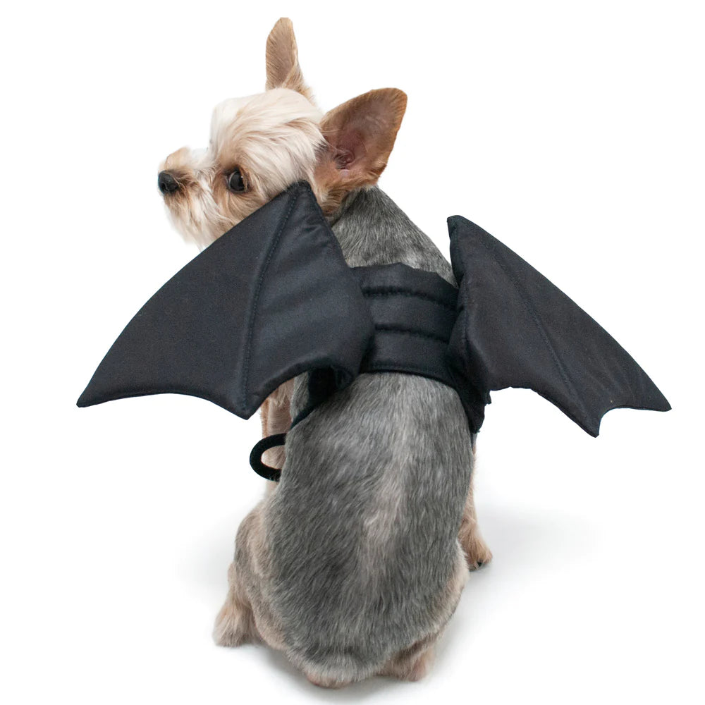 Bat Wings Halloween Costume for Dogs