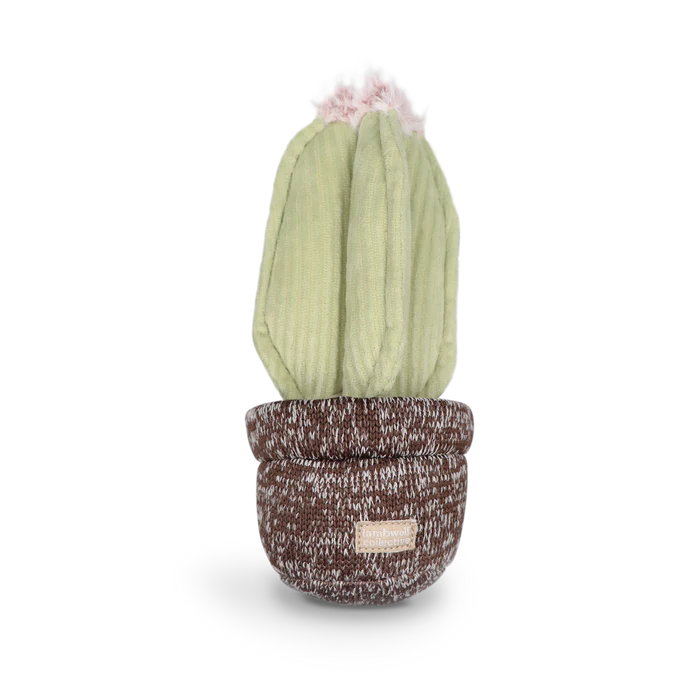 Cactus Enrichment Dog Toy by Lambwolf Collective