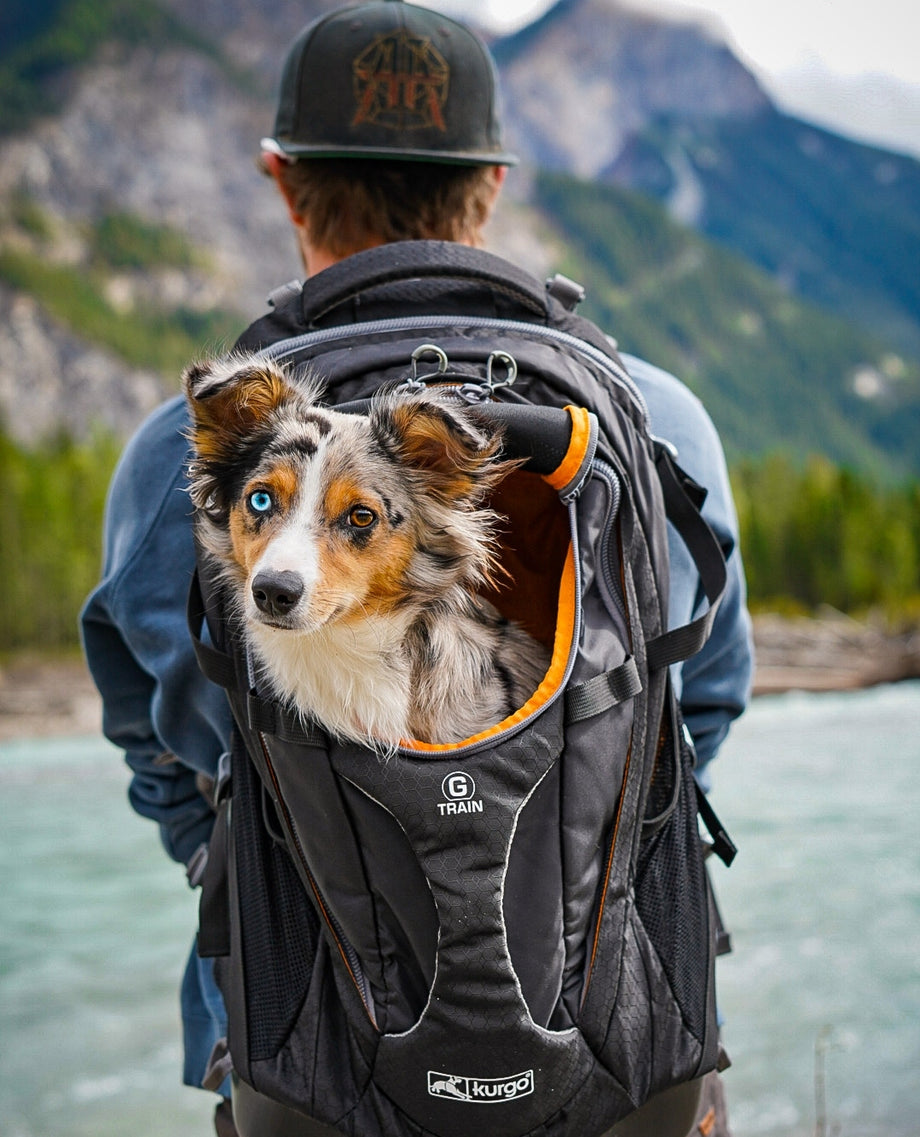 コハク FEP_mcPXwAQDILm_460x@2x.jpg?v=