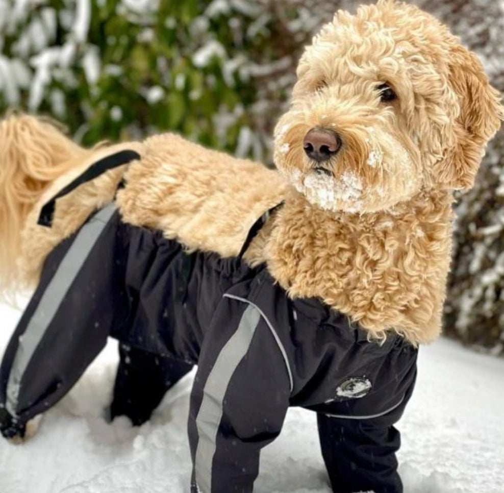 FouFou Dog Black Bodyguard Protective All- Weather Dog Pants