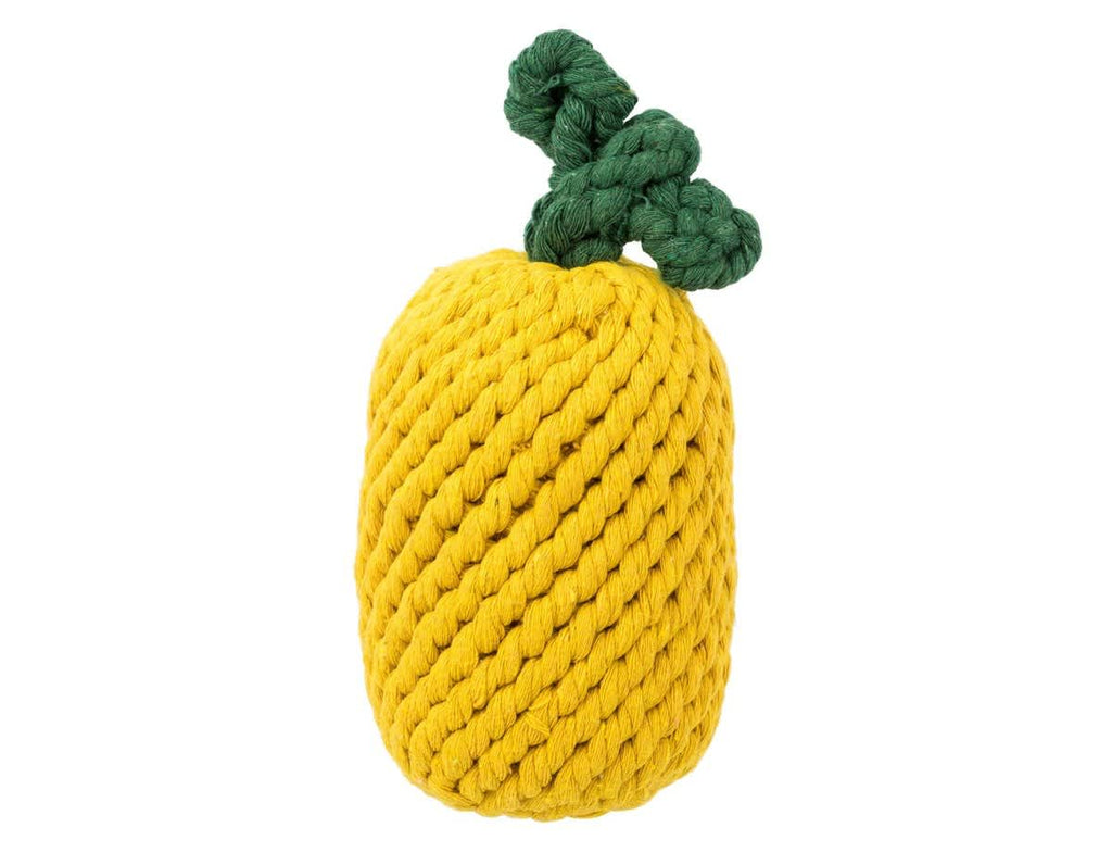Pineapple Rope Dog Toy by Jax and Bones