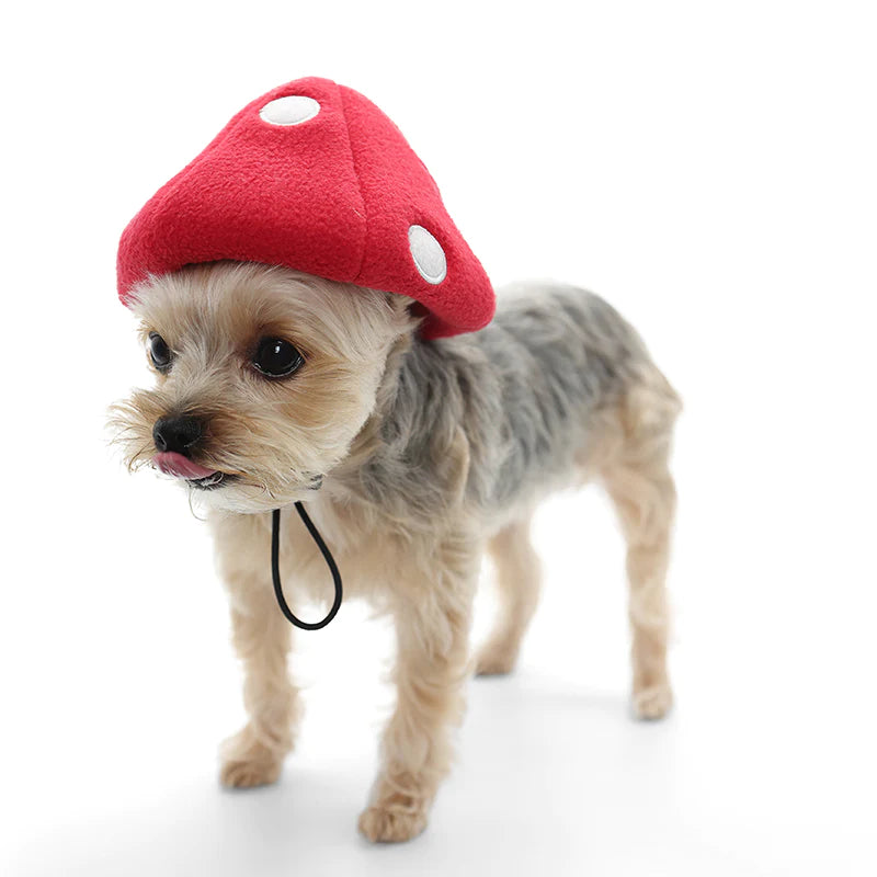 Mushroom Hat Halloween Costume for Dogs