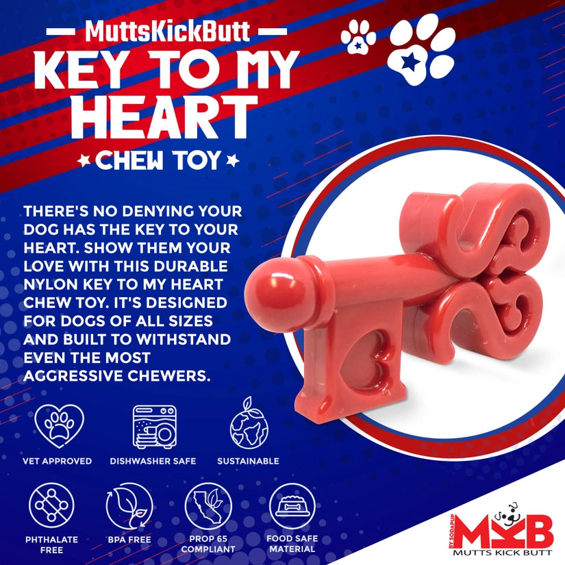 Key To My Heart Ultra Durable Nylon Dog Chew Toy