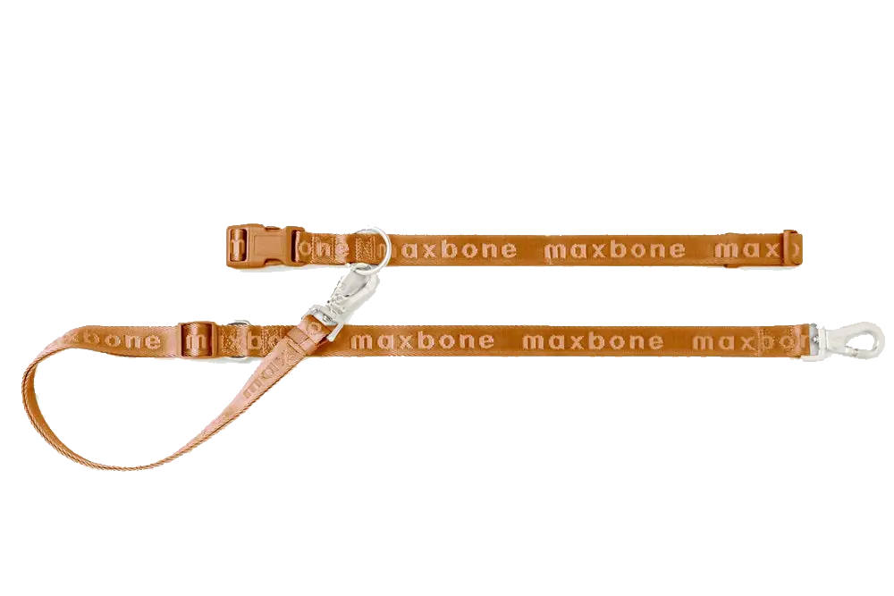maxbone Camel Go With Ease! Hands Free Leash