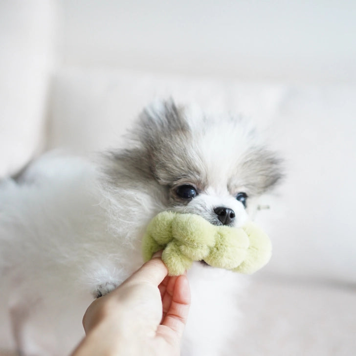 Apple Enrichment Dog Toy by Lambwolf Collective