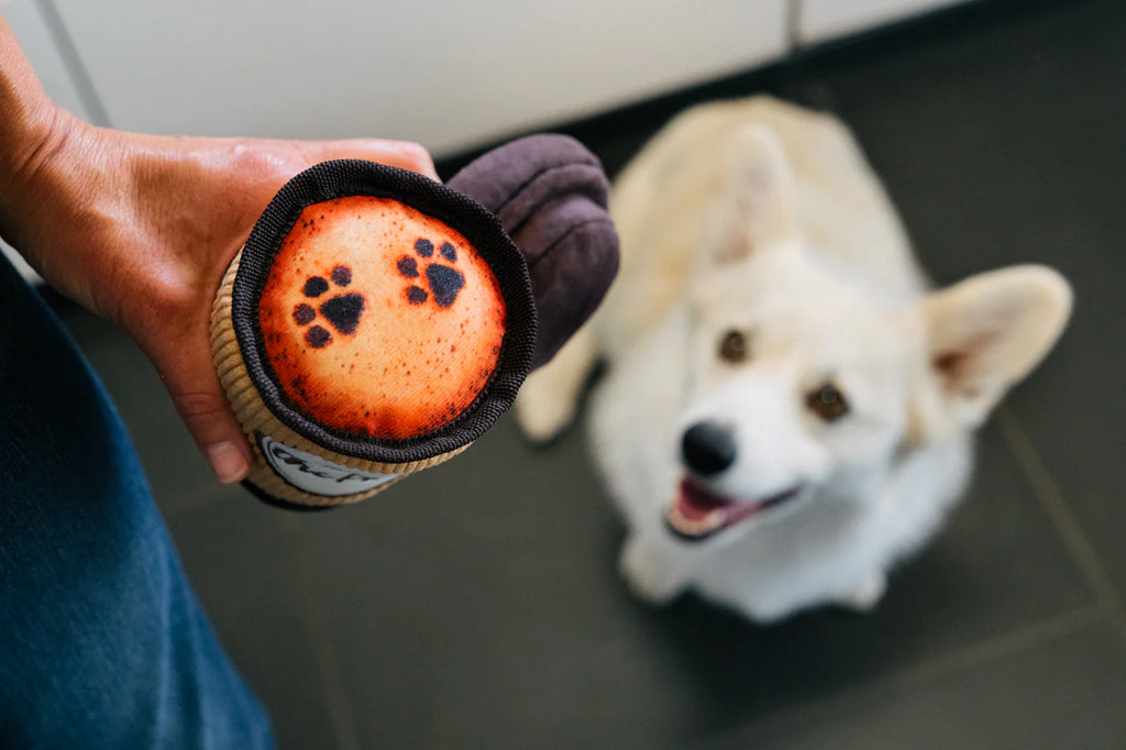 Pup Cup Cafe Collection Doggo's Java