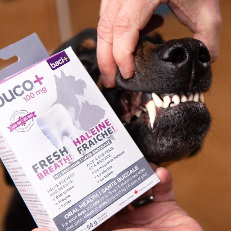buco+ Dental Care for Dogs & Cats