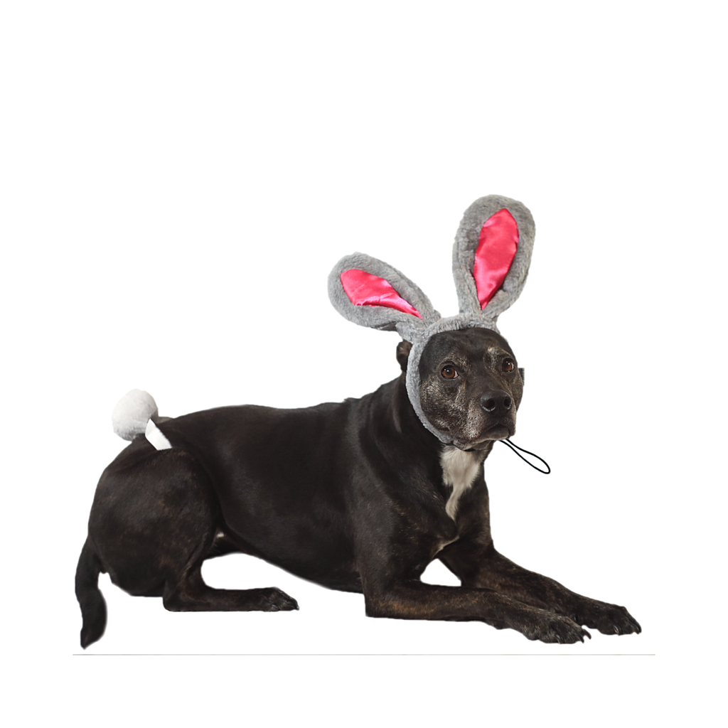 Gray & Pink Rabbit Ears with Tail Halloween Costume for Dogs