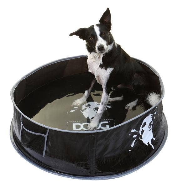 Easy Storage Foldable Dog Bath and Pool for Pets