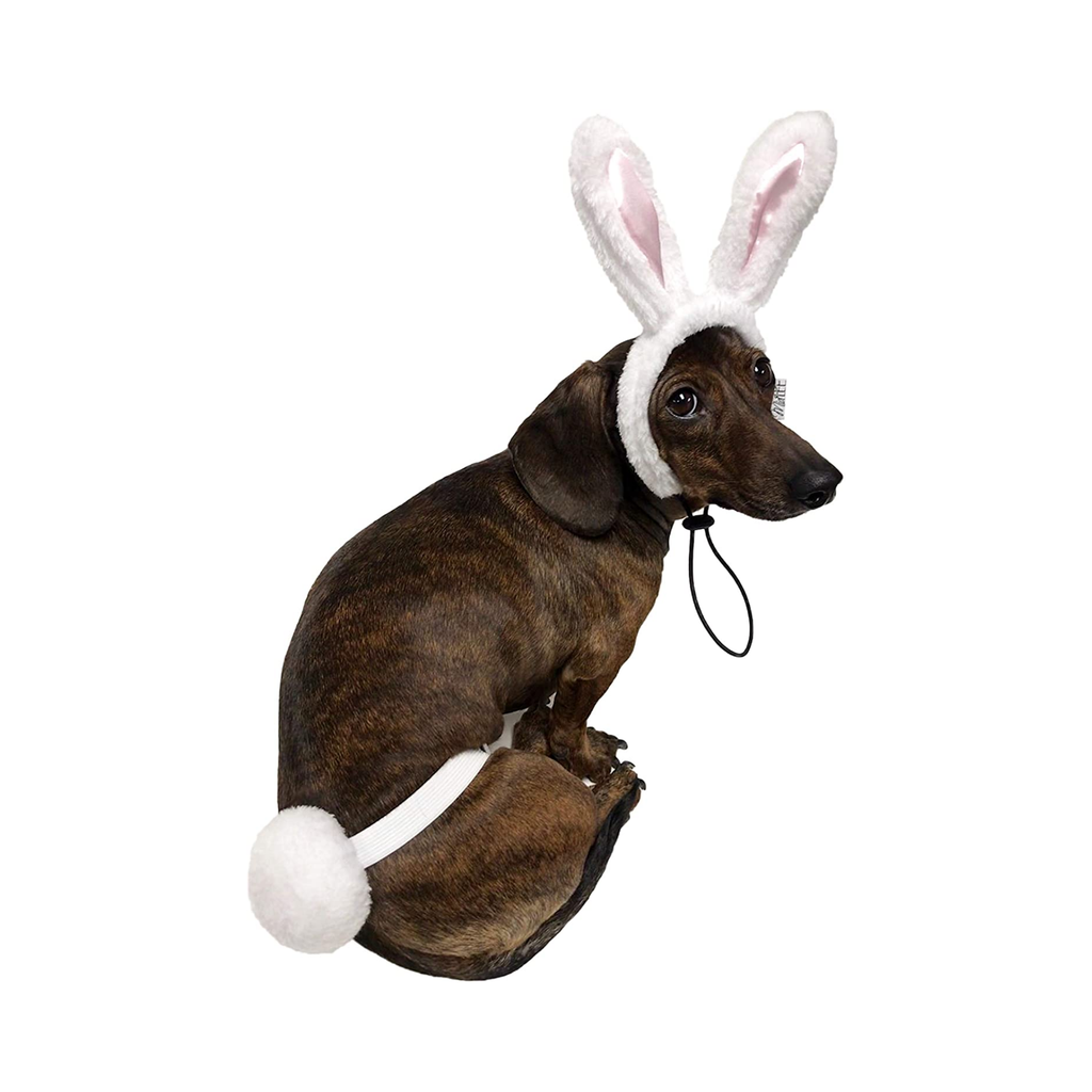 White Rabbit Ears with Tail Halloween Costume for Dogs