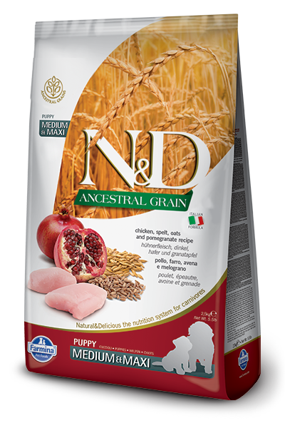 N&D Ancestral Grain Chicken & Pomegranate Puppy by Farmina