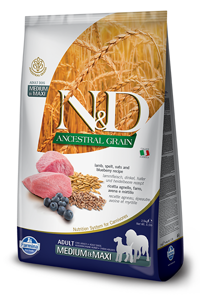 N&D Ancestral Grain Lamb & Blueberry Adult Dog by Farmina