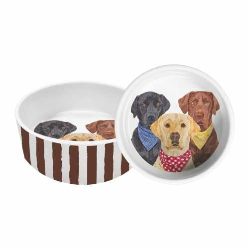 The Three Musketeers Large Dog Dish