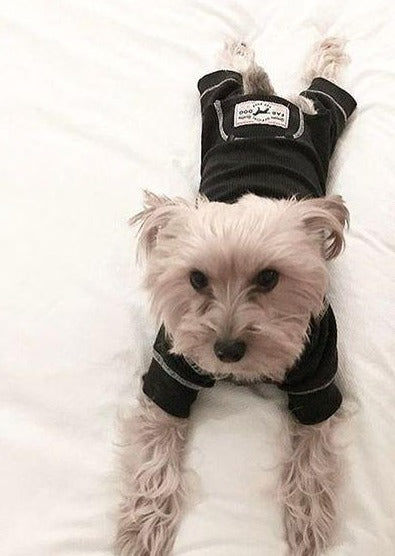 Charcoal Thermal Dog Pajamas - Matching Human PJs Available
