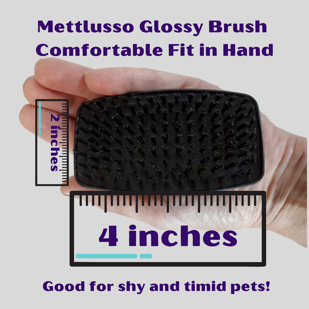 Mettalusso More Collection Glossy Brush