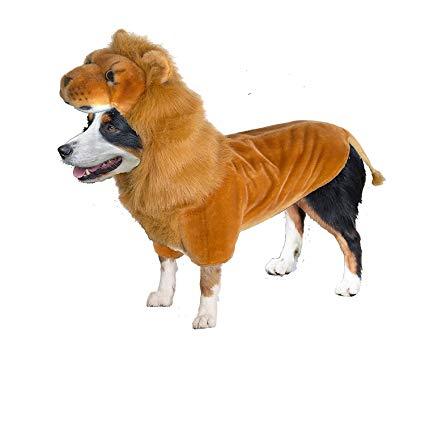 Lion Halloween Costumes for Dogs