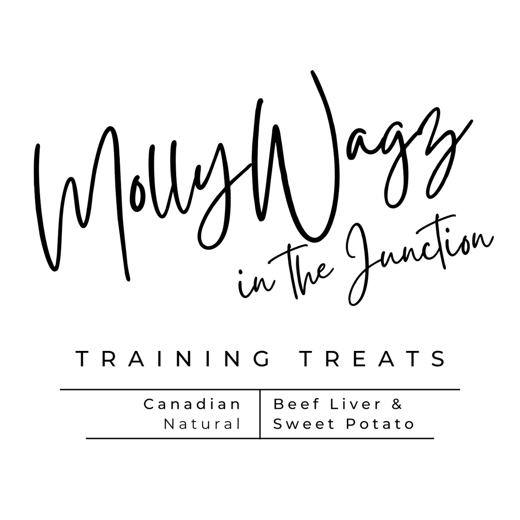 MollyWagz in the Junction Beef & Sweet Potato Training Treats