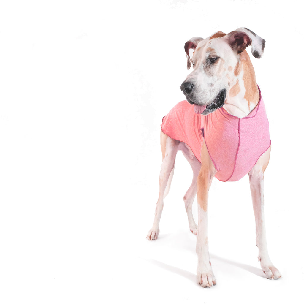 Coral Pink Sun Shield UV Ray Blocker Shirt for Dogs & Cats