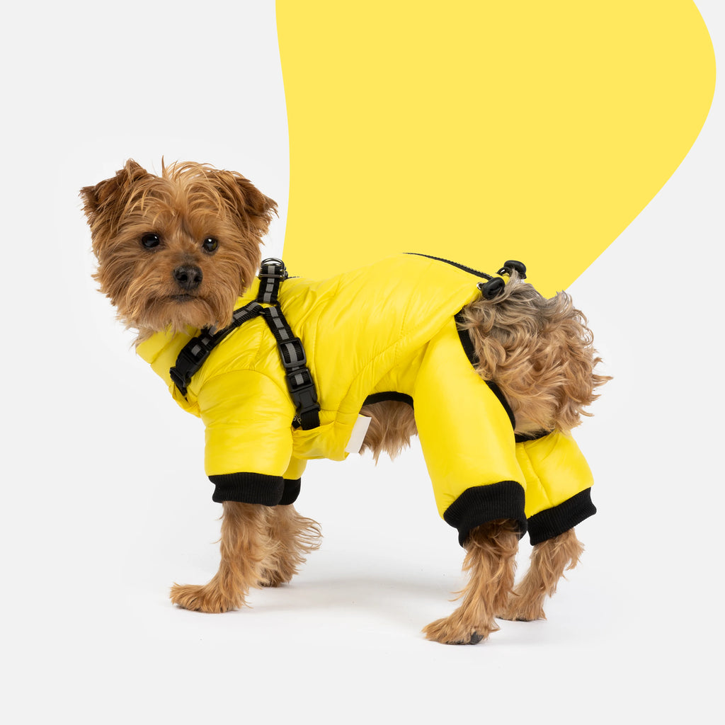 Full Body Yellow Dog Snowsuit