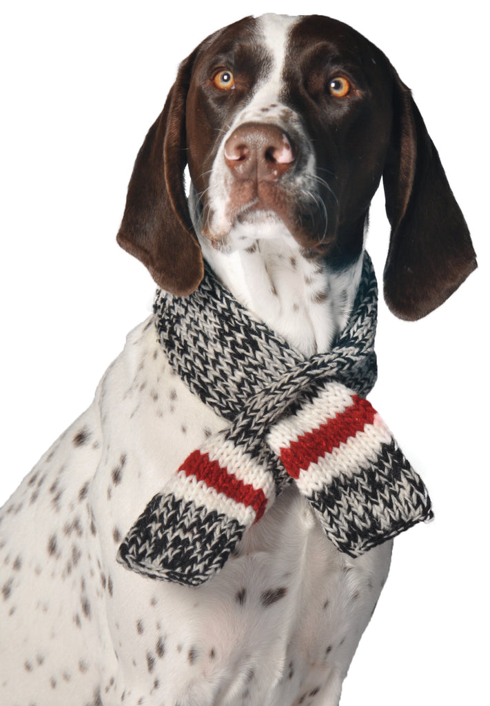 Chilly Dog Hand Knit Wool Boyfriend Dog Scarf