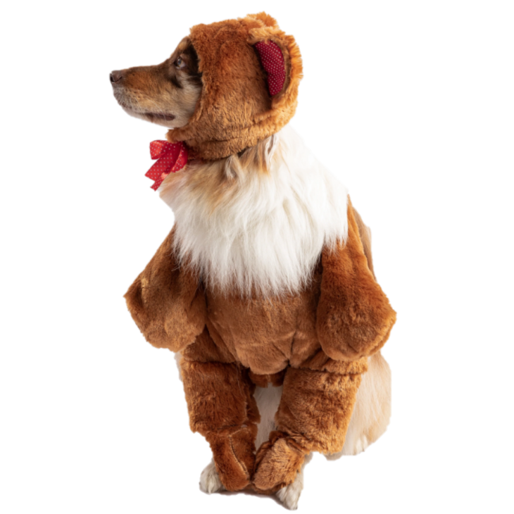 Teddy Bear Costume for Dogs