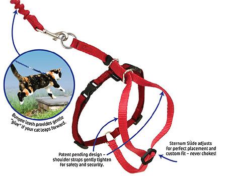 Cat Harness With Bungee Leash