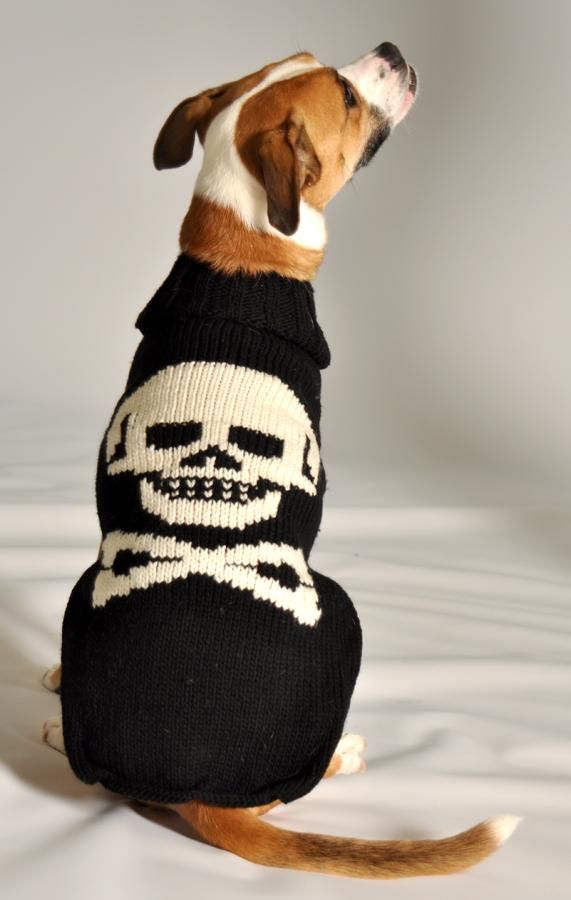 Chilly Dog Skull Dog Sweater