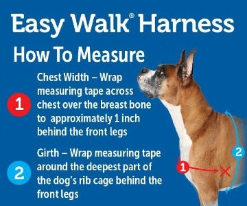 Easy Walk Harness to Discourage Pulling Dogs - Black