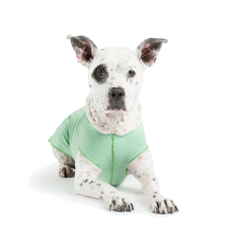 Pistachio Sun Shield UV Ray Blocker Shirt for Dogs & Cats