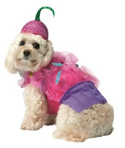 Cupcake Halloween Costumes for Dogs