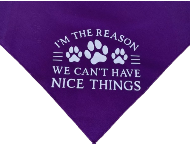 I'm the Reason We Can't Have Nice Things Large Bandana