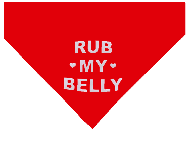 Rub My Belly Large Bandana