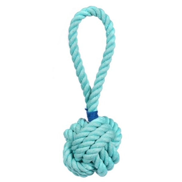Aqua Celtic Knot Dog Toy