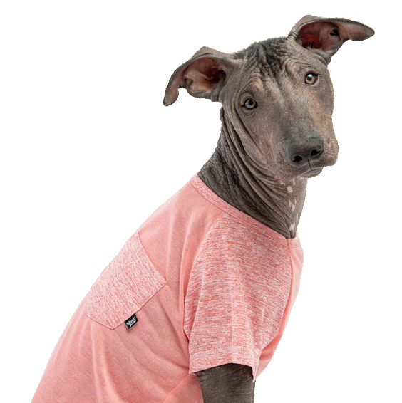 Urban Fit Dog T-Shirt